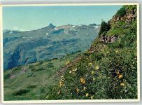 8898 Tannenboden Flumserberg - Spitzmeilen