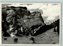 Flims 1965 Foto AK Bargis-Hochtal Flimserstein