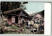 Auf der Alp Chalet mit Kühen