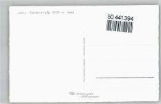 3992 Bettmeralp - Berg Panorama Feld Haus Baum