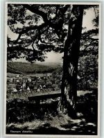 8240 Thayngen - Schaffhausen Baum