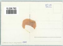 8215 Hallau Gebrauchsspuren Fliegeraufnahme