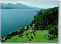 3658 Merligen Foto AK Gut Ralligen