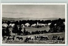 2353 Les Pommerats - Vue générale et l'ecole Pferde Kühe