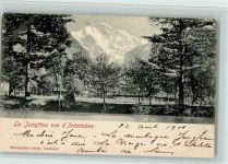 3800 Interlaken - La Jungfrau vue d'Interlaken Bäume