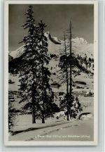 7260 Davos Dorf - Winter Bäume Schiahörner