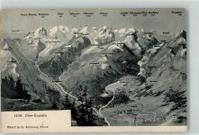7505 Celerina/Schlarigna 1907 - Vogelschau Oberengadin