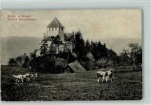 8260 Stein am Rhein 1908 Gebrauchsspuren Schloss Hohenklingen, Bauer mit Tiergespann, Eckknick