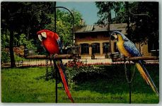 Basel Bâle Papagei Zoo Gebrauchsspuren