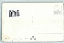 Bachalpsee - Kühe Schreckhorn