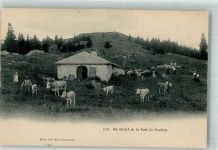 1325 Vaulion - Chalet de la Dent Vaulion Rinderherde