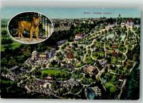 Basel Bâle Vogelschau Puma Zoo Künstlerkarte