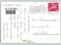 3823 Wengen - Jungfrau