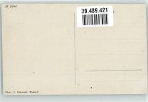 8800 Thalwil Foto AK Ort lt. Fotograf Baumgruppe