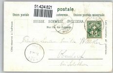 3280 Murten Morat 1901 Lithographie Hotel