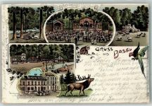 Basel Bâle Gruss aus Gartenwirtschaft im Erlenpark Papagei Lithographie Zoo 1901 Gebrauchsspuren