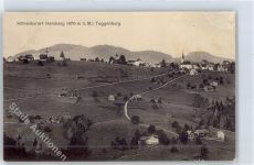 9633 Hemberg