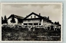 Petit Som Martel - Cafe Restaurant