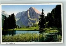 9656 Alt St. Johann - Gräppelen See