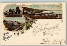 8810 Horgen 1901 Lithographie Bocken Thalhof Glückwunsch Neujahr