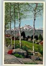 1884 Villars-sur-Ollon - Dent du Midi