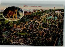 Basel Bâle Vogelschau Puma Zoo Künstlerkarte