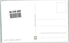 5705 Hallwil Foto AK Fliegeraufnahme Schloss