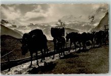 3906 Saas-Fee - Maultierpost