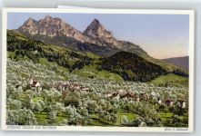 6422 Steinen - Frühlingsblüten