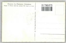 1885 Chesières - Pension La Plaisance