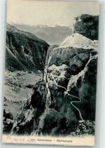 Gemmipass Wallis 1908