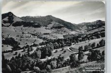 8638 Goldingen Hintergoldingen