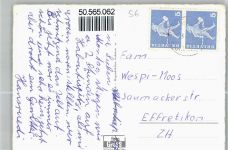 8638 Goldingen Hintergoldingen