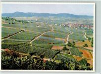 8215 Hallau 1959 - Blick auf Hallau und Randen Klettgau