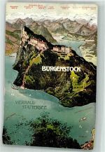 6363 Bürgenstock 1909 Foto AK Hotel Vierwaldstättersee