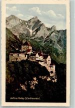 9490 Vaduz Foto AK Schloss