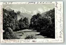 3812 Wilderswil 1902 - Ruine Unspunnen