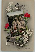 3860 Meiringen 1909 - Gruß aus der Schweiz Edelweiß Nelken
