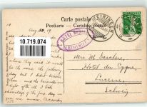 3860 Meiringen 1909 - Gruß aus der Schweiz Edelweiß Nelken