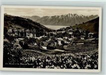 1833 Les Avants - Les Alpes de Savoie blühende Narzissen