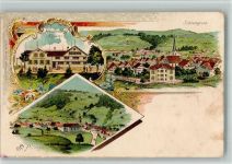 9105 Schönengrund BOAKC Lithographie Ferienkolonie Gasthaus Zum Freudenberg Käsern St. Peterzell