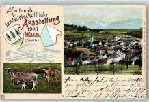 8636 Wald ZH 1900 Lithographie Kantonale landw. Ausstellung Kühe