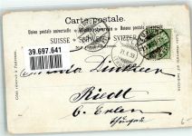 3823 Wengen 1903 - Berner Oberland Kühe