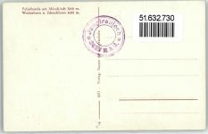 Mönch BE - Polarhunde am Mönchjoch Wetterhorn Schreckhorn