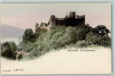 2520 La Neuveville 1908 - Schlossberg
