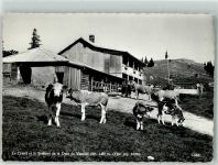 1325 Vaulion 1959 Foto AK Le Chalet