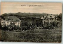 9650 Nesslau 1916 - Pension Alpenblick