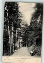 7000 Chur Coire 1905 - Waldweg Rosenhügel