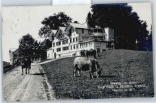 9413 Oberegg - Gasthaus Pension zum Rössli , Kühe