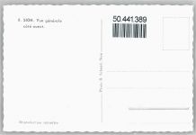 1950 Sion Montorge - Berg Haus Baum Burg